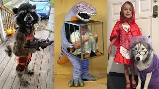 Most Creative Halloween Costume Ideas Ever