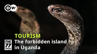 It's probably the most dangerous island in Uganda | The island full of deadly cobras