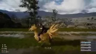 Final Fantasy 15 Final Fantasy XV   Chocobo Riding and Fishing Gameplay HD