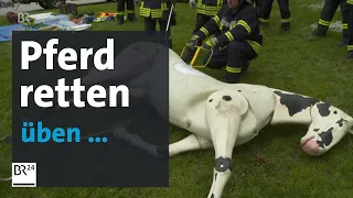 Pferd in Notlage: Feuerwehr trainiert die Großtierrettung | BR24