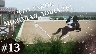 ЭТО МОЖЕТ СЛУЧИТЬСЯ С КАЖДЫМ!!! или ЧТО ТАКОЕ МОЛОДАЯ ЛОШАДЬ! Кубок России среди МЛ Maxima