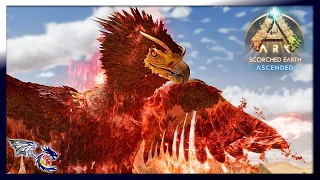 I Finally Found A Phoenix | ARK: Scorched Earth Ascended #30