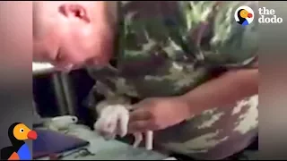 Soldier Gives Tiny Puppy CPR | The Dodo