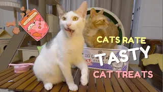 MY CATS RATE KOREAN CAT TREATS 🐈