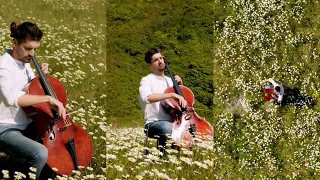 Lukasulic world May our souls bloom and flourish with Blossom 🌸