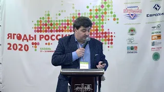 Формирование стратегии развития ягодной плантации – Марк Стрела,  АПП «Слободские ягодники»