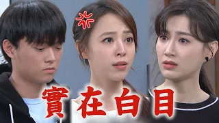 【一家團圓】EP289 子奇回來何麗備感排擠 被棒球打到大做文章家玲受不了罵白目!│Family Reunion