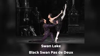 The Royal Ballet ~ Swan Lake Black Swan Pas de Deux