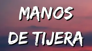 [Loop 1 Hour] Camilo - Manos de Tijera (LetrasLyrics)