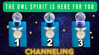 ⭐️ THE OWL VISITED ! 🦉AN URGENT MESSAGE FOR YOU ⭐️ Channeled Messages | Pick a Card Timeless Reading