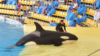 Full Orca Ocean Show-Loro Parque