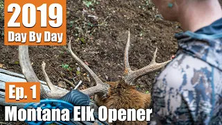 Public Land Bull with a Bow! | 2019 Montana Archery Elk Opener (Ep. 1)