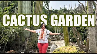 In the Cactus Garden | Maagan Michael Apr 27-th 2024