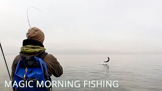 Dead flat surface sea trout fly fishing