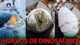 Un RUSO ROMPIÓ VARIOS HUEVOS DE DINOSAURIO y mostró lo que hay dentro