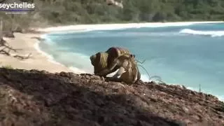 Seychelles Beaches - Anse Cocos - La Digue