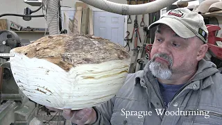 Woodturning - Are Pine Burls Worth Buying?