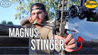 THE MAGNUS STINGER 4 Blade {Why is everyone SWITCHING?}