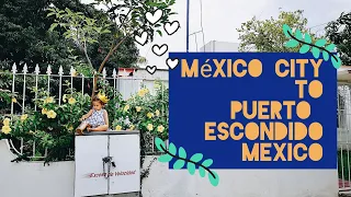 MEXICO CITY TO PUERTO ESCONDIDO - LIFE AT THE BEACH