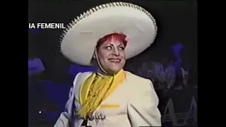 Pimpinela Escarlata vs Tiffany (Cabellera contra cabellera)