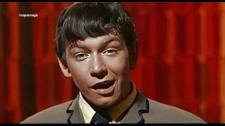 The Animals - Around & Around (1964) HD/widescreen ♫♥