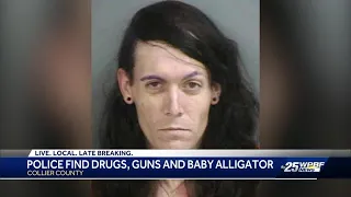 Sheriff: Florida man had meth, guns, baby gator in truck