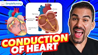 Conduction of the Heart: Cardiac Knowledge for Nursing Students