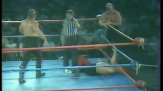The Road Warriors vs The Crusher and Baron Von Raschke (08/25/1984)