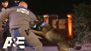 Live PD K9 Team Kobe vs. K9 Team Bane | America's Top Dog (Season 1) | A&E