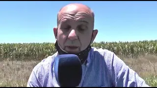 El Intendente de Pehuajo, Zurro, aclara la cuestión del campo.