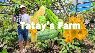 VISIT TO TATAY’S FARM