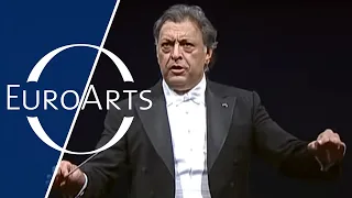 Johann Strauss - Overture "Die Fledermaus" (Vienna Philharmonic Orchestra, Zubin Mehta)