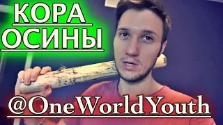 Кора Осины/12 ч.голода Ёсинори Осуми/OneWorldYouth/Фотограф/Трансцендентные перемены/