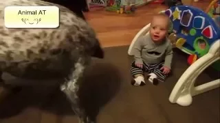 Dogs And Babies Are Best Friends Talking Playing Together "Compilation" (Part 3)