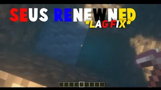 How to fix lag in Seus Renewned..