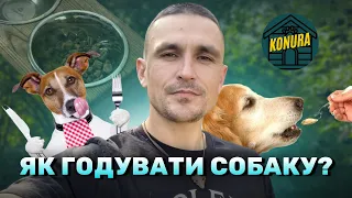 Як годувати вашого собаку