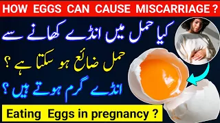 How Eggs Can Cause Miscarriage| Eating Eggs in Early Pregnancy Safe or Not  |Pregnancy Care in Hindi