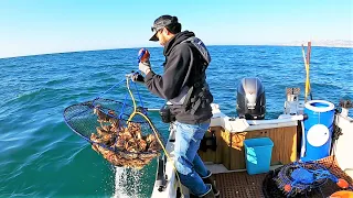 SOOO MANY CRABS!  I could barely lift the pot!