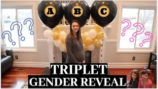 *EPIC* TRIPLET Gender Reveal! | 1 IN 30,000 CHANCE