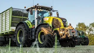 2021 | Grass Silage by Sunset | Claas Axion 150.000 | Pleizier & Timmer