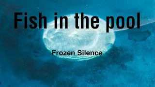 Fish in the pool - Frozen Silence (extended)