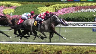 Gulfstream Park Replay Show | March 19, 2017