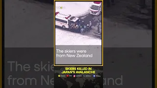 New Zealand skiers killed in Japan's avalanche | WION Shorts