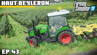 GROWING AN OLIVE GROVE | Farming Simulator 22 - Haut-Beyleron | Episode 43