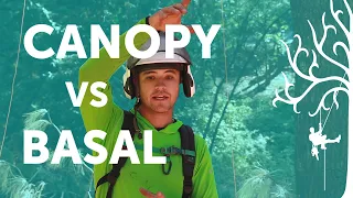 Canopy or Basal Anchor? When and why NOT to use a base anchor, for SRT canopy access | Arborist tech