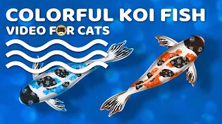 CAT GAMES - Colorful Koi Fish. Videos for Cats to Watch | CAT TV.