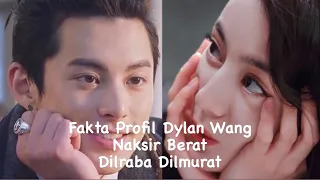 Profil Fakta Dylan Wang Idolakan Dilraba Dilmurat