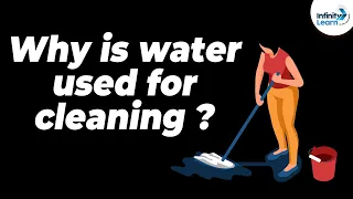 Why is water used for cleaning? | One Minute Bites | Don't Memorise