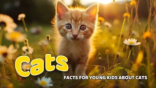 Cats 🐱Fun Facts for Little Explorers