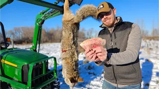 HOW TO MAKE MONEY COYOTE HUNTING!!!